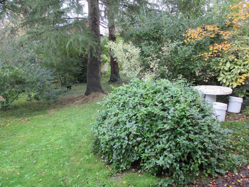 Gite Habas Rum bild